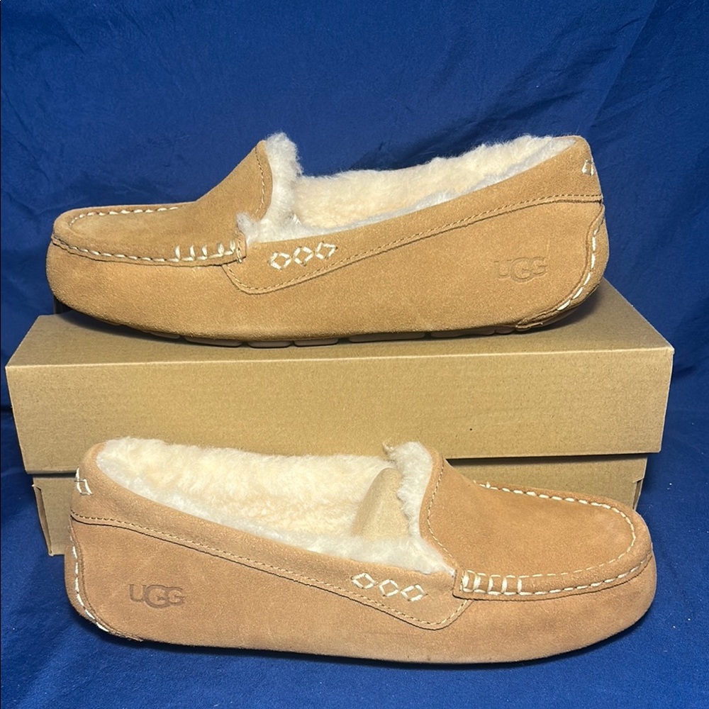 UGG- Ansley, CHE, women sw